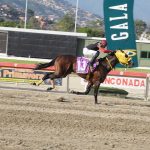 Attraction es el sprinter de Venezuela