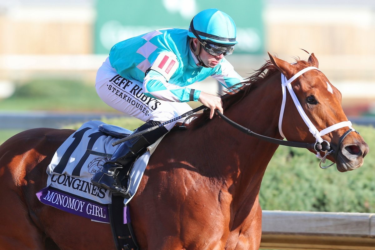 Monomoy Girl, horse, Tapizar, Breeders´Cup Distaff, sábado, 3 de noviembre de 2018, Chirchill Downs. Foto Redes Sociales Breeders Cup