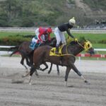Sensational Money 18-11-18 Chinita