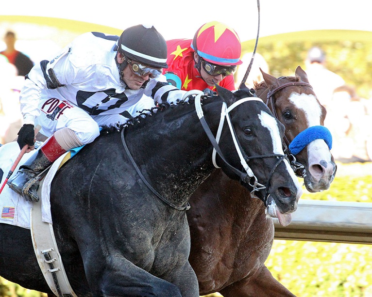 Foto: Coady Photograhy @CoadyPhoto