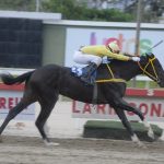 Foto: Jorge Yánez