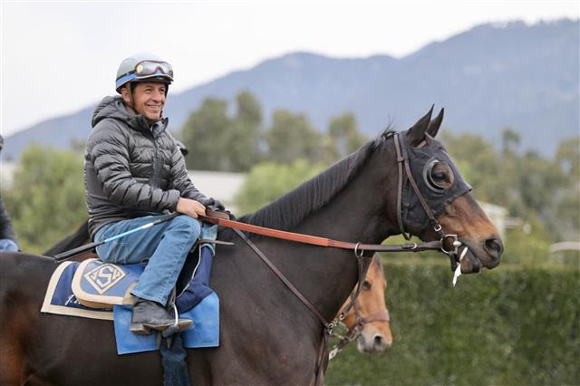 Foto: Zoe Metz (International Photographer) / Santa Anita Park @_zoemetz