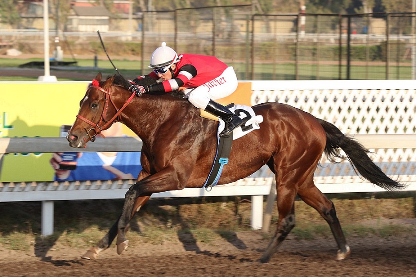 Foto: Prensa Club Hípico de Santiago @ClubHipico_Stgo