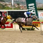 Afrodita De Padua, horse, Haras Oropal, Clásico Prensa Hípica Nacional, domingo, 23 de junio de 2019, Hipódromo La Rinconada. Foto: Foto José Antonio Aray