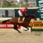 Gran Omero, horse, King Seraf, Clásico Cría Nacional, domingo, 23 de junio de 2019, Hipódromo La Rinconada. Foto: Foto José Antonio Aray