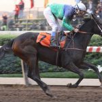 Foto: Relaciones Públicas Hipódromo de Chile @hipodromo_chile