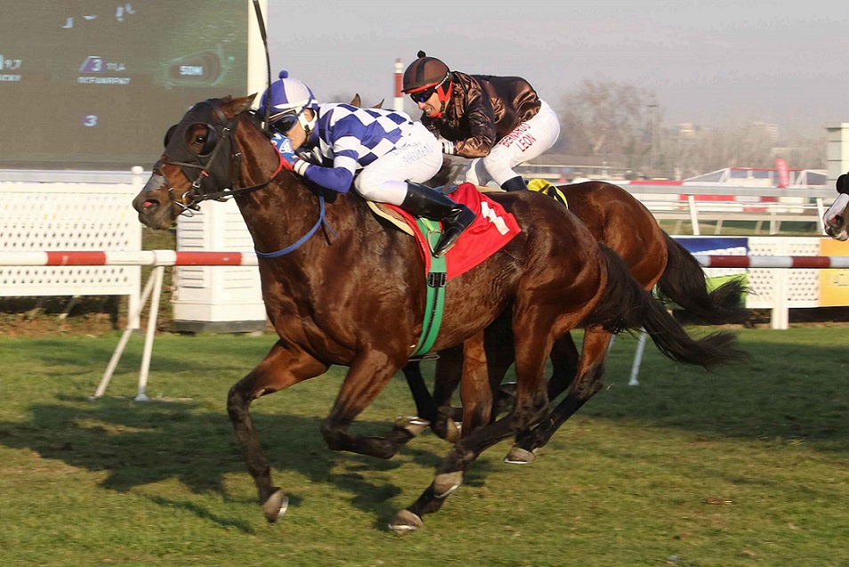 Foto: Prensa Club Hípico de Santiago @ClubHipico_Stgo