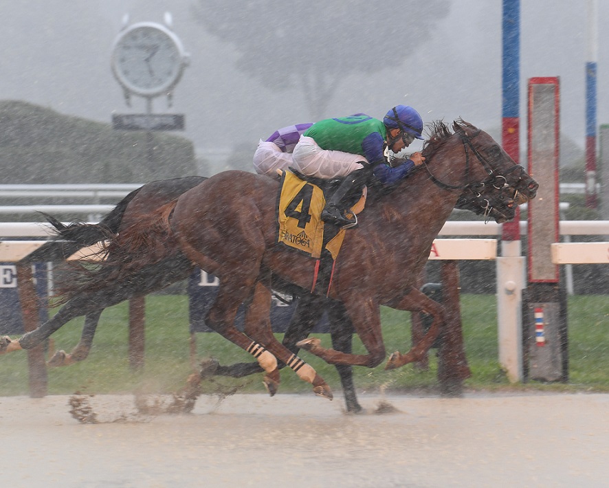 Foto: Adam Coglianese (International Photographer) / NYRA @coglianesephoto