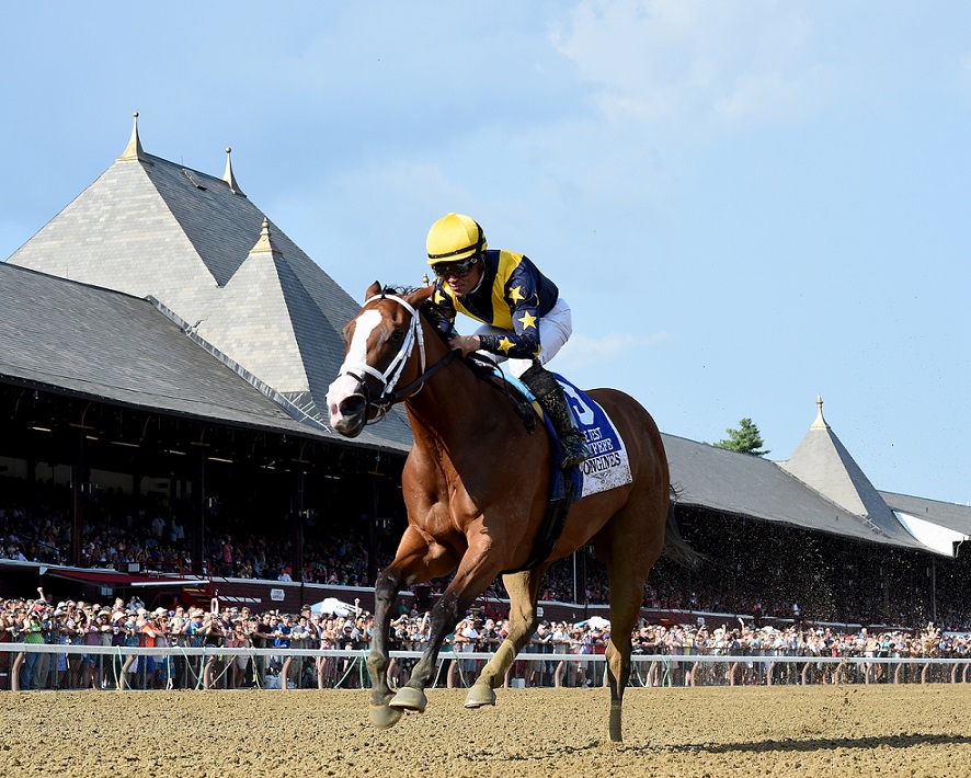 Foto: Adam Coglianese (International Photographer) / NYRA @coglianesephoto