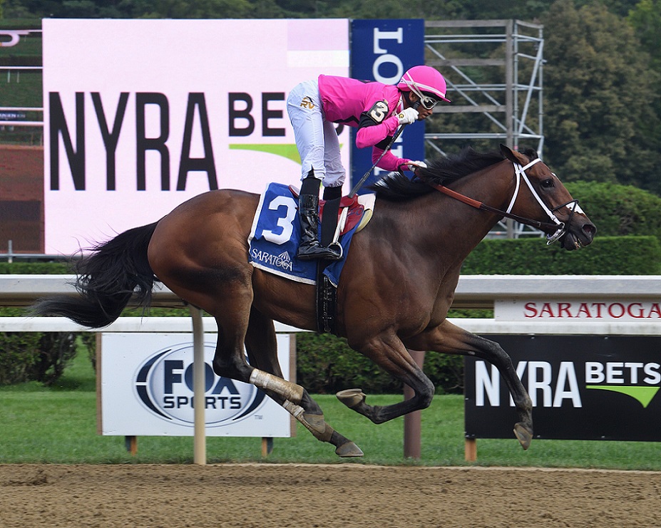 Lone Rock, horse, Majestic Warrior, Birdstone Stakes, jueves, 5 de agosto de 2021, Saratoga. Foto: Coglaniese Photo & Janet Garaguso