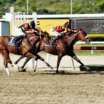 Strength Mask, horse, Jupiter Pluvius, Clásico Sprinters, domingo, 3 de octubre de 2021, La Rinconada. Foto: José Antonio Aray