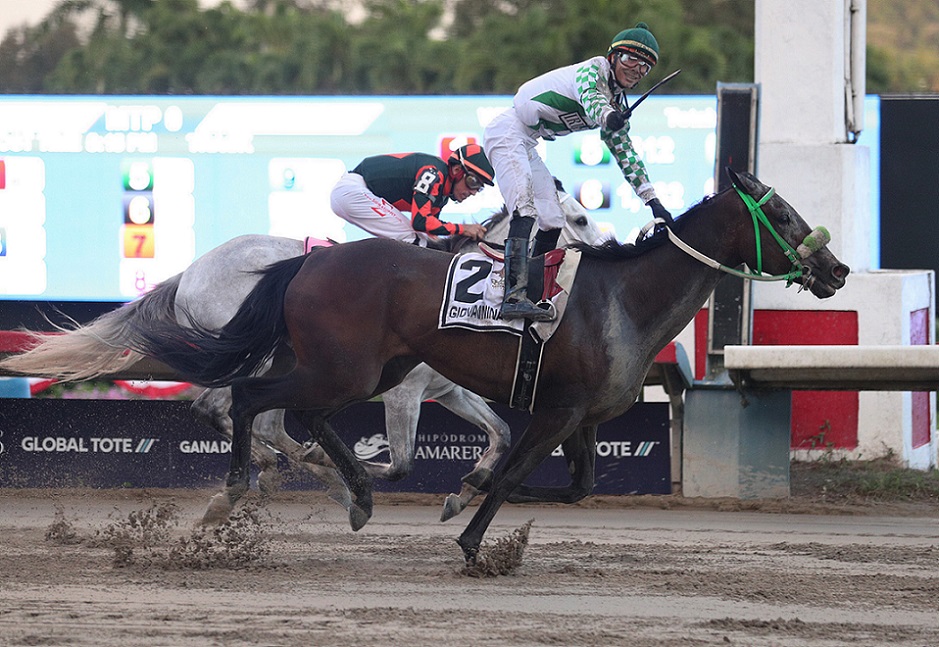 Giovannina, horse, Granja San Isidro, Copa Lucky Cash, domingo, 5 de diciembre de 2021, Hipódromo de Camarero. Foto: Juan Luis Martínez