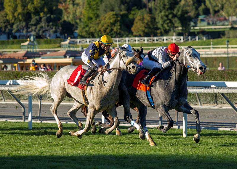 Zero Tolerance, Horses, Mizzen Mast, Las Cienegas Stakes, domingo, 9 de enero de 2022, Santa Anita Park. Foto: Benoit Photo