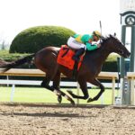 Scalding, horse, Godolphin & Cobalt Investments, Ben Ali Stakes, sábado, 23 de abril de 2022, Keeneland. Foto: Coady Photography