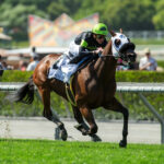 Count Again, Horses, Awesome Again, Shoemaker Mile Stakes, lunes, 30 de mayo de 2022, Santa Anita Park. Foto: Benoit Photo