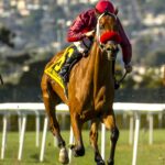 Evening Sun, Horses, Muhaarar, San Francisco Mile Stakes, sábado, 30 de abril de 2022, Golden Gate Fields. Foto: Vassar Photography