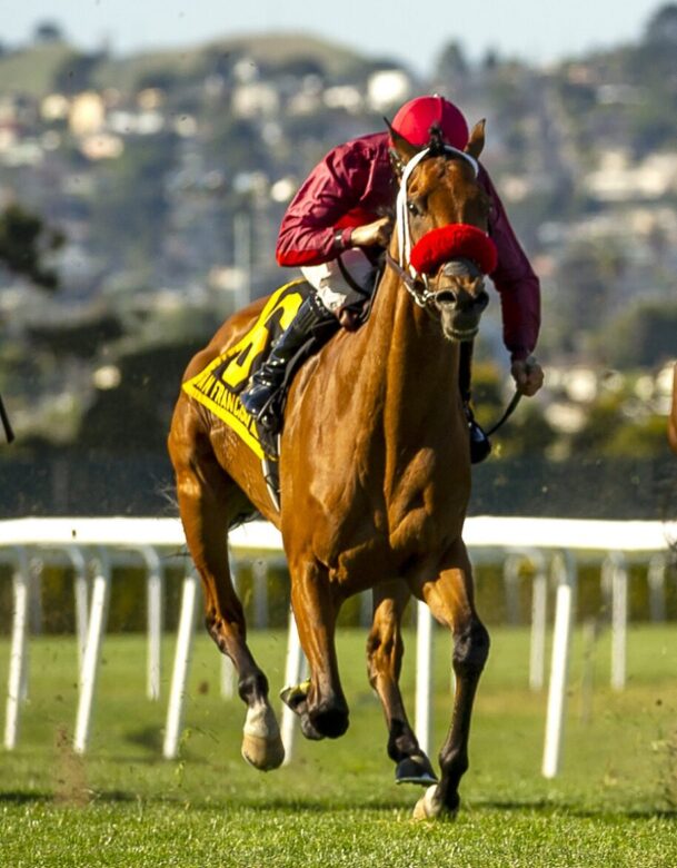 Evening Sun, Horses, Muhaarar, San Francisco Mile Stakes, sábado, 30 de abril de 2022, Golden Gate Fields. Foto: Vassar Photography