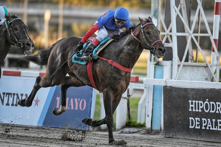 Nievre, horse, Catcher In The Rye, Clásico Gran Premio República de Argentina, domingo, 1 de mayo de 2022, Hipódromo de Palermo. Foto: Prensa Palermo