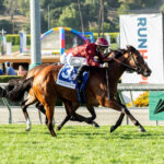 Ocean Road, Horses, Australia, Gamely Stakes, lunes, 30 de mayo de 2022, Santa Anita Park. Foto: Benoit Photo