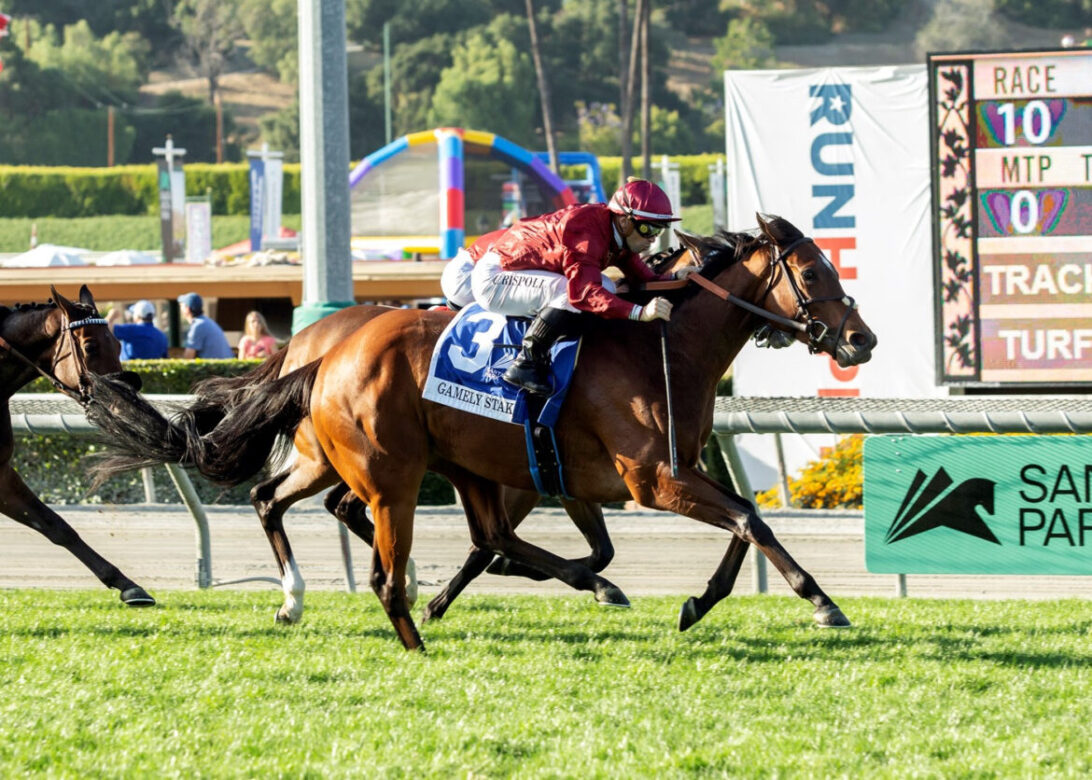 Ocean Road, Horses, Australia, Gamely Stakes, lunes, 30 de mayo de 2022, Santa Anita Park. Foto: Benoit Photo