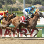 There Goes Harvard, Horses, Will Take Charge, Hollywood Gold Cup, lunes, 30 de mayo de 2022, Santa Anita Park. Foto: Benoit Photo