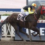 Cuídate Mucho, horse, Gemologist, Clásico Comité Olímpico de Chile, jueves, 2 de junio de 2022, Hipódromo de Chile. Foto: Jaime Cortés