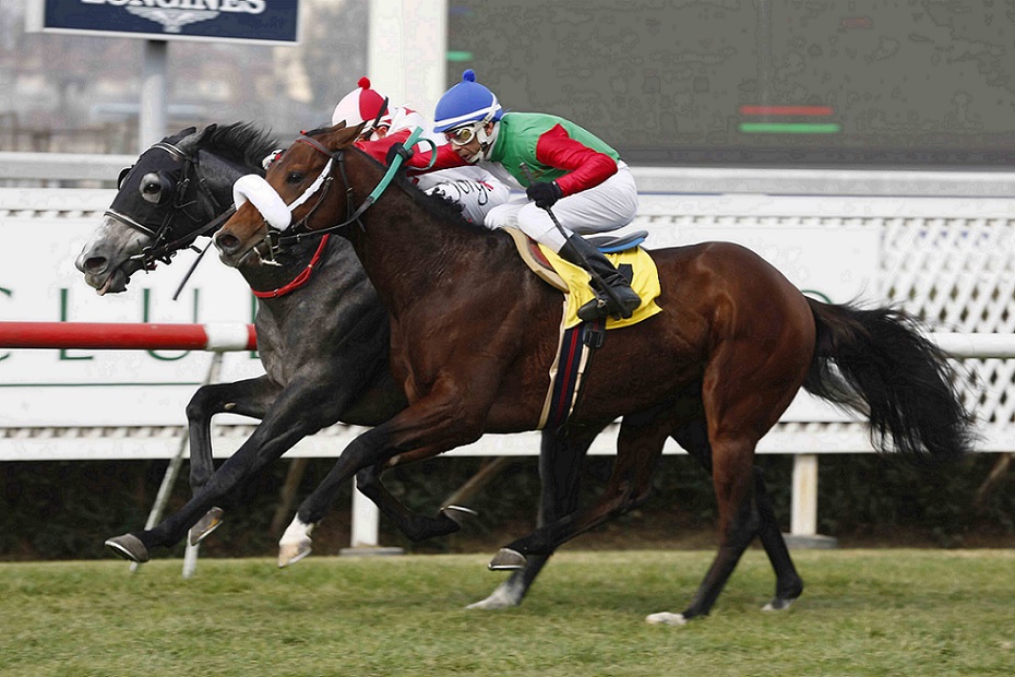 Il Santino, horse, Haras Don Alberto, Clásico Charlatán, lunes, 20 de junio de 2022, Club Hípico de Santiago. Foto: Jaime Cortés