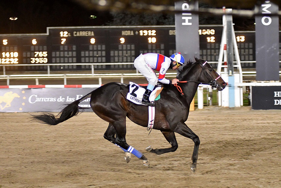 Luthier Blues, horse, Haras El Paraíso, Clásico Gran Premio Estrellas Sprint, sábado, 25 de junio de 2022, Hipódromo de Palermo. Foto: Prensa Palermo