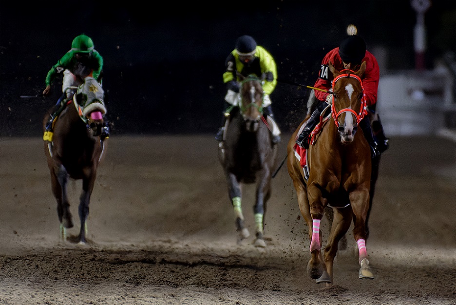 Malinche, horses, Cuadra San Jorge, Clásico Aniversario, Hipódromo de Las Américas, sábado, 5 de marzo de 2022. Foto: Miguel Ángel Espinoza