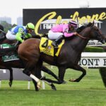 Casa Creed, horse, Jimmy Creed, Jaipur Stakes, sábado, 11 de junio de 2022, Belmont Park. Foto: Coglaniese Photo & Susie Raisher