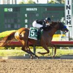 High Connection, horses, Connect, Los Alamitos Derby, sábado, 9 de julio de 2022, Los Alamitos. Foto: Benoit Photo
