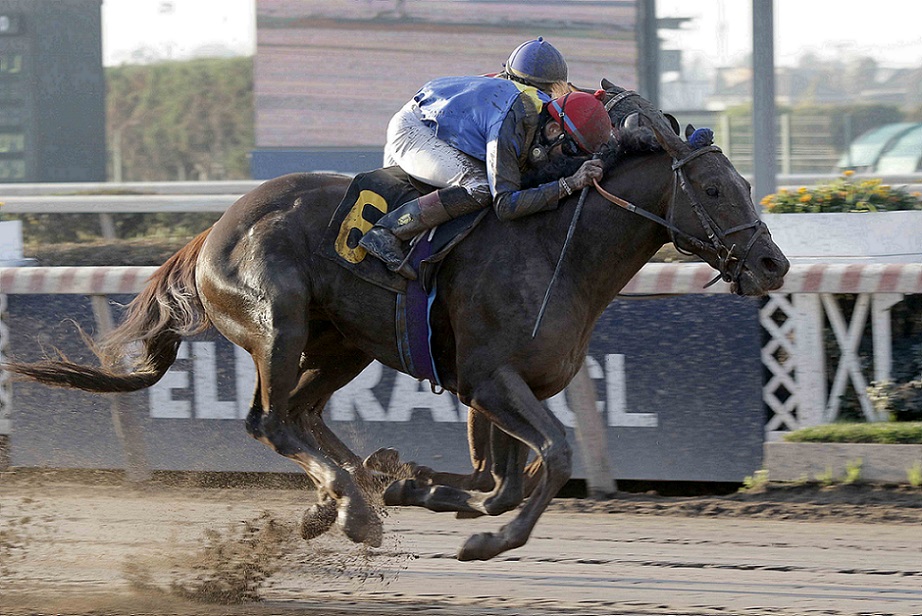 Medio Banca, horse, Haras Don Alberto, Clásico Geoffrey Bushell Watson, jueves, 7 de julio de 2022, Hipódromo de Chile. Foto: Jaime Cortés