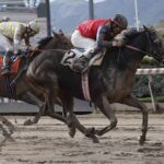 Tiberio Graco, horse, Haras San Patricio, Clásico Fundación Arturo López Pérez, jueves, 14 de julio de 2022, Hipódromo de Chile. Foto: Jaime Cortés
