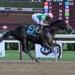Artorius, horse, Arrogate, Curlin Stakes, viernes, 29 de julio de 2022, Saratoga. Foto: Coglaniese Photo & Susie Raisher