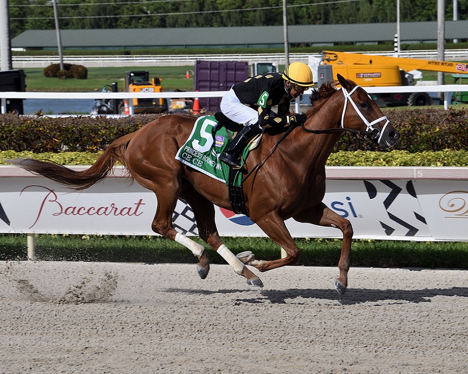 Ce Ce, horse, Bo Hirsch, Princess Rooney Stakes, sábado, 2 de julio de 2022, Gulsftream Park. Foto: Coglianese Photo