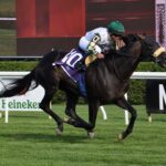City Man, horse, Mucho Macho Man, Forbidden Apple Stakes, viernes, 15 de julio de 2022, Saratoga. Foto: Coglaniese Photo & Susie Raisher