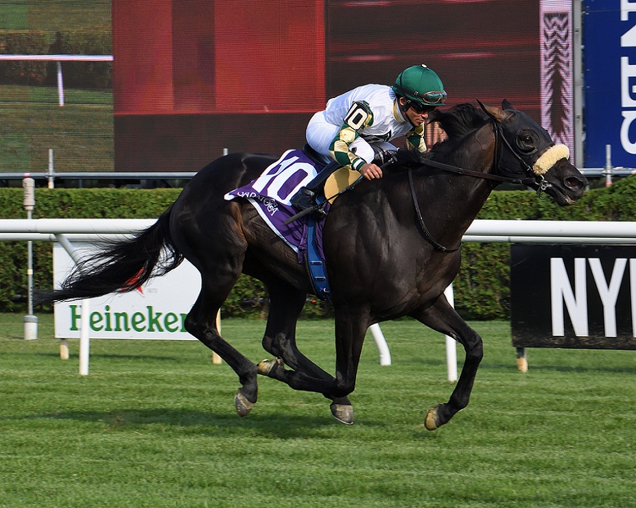 City Man, horse, Mucho Macho Man, Forbidden Apple Stakes, viernes, 15 de julio de 2022, Saratoga. Foto: Coglaniese Photo & Susie Raisher