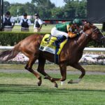 Classic Causeway, horse, Giant´s Causeway, Belmont Derby, sábado, 9 de julio de 2022, Belmont Park. Foto: Coglaniese Photo & Susie Raisher