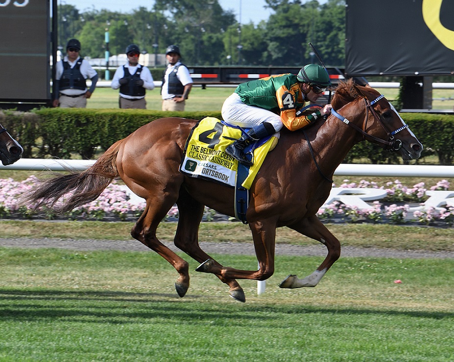 Classic Causeway, horse, Giant´s Causeway, Belmont Derby, sábado, 9 de julio de 2022, Belmont Park. Foto: Coglaniese Photo & Susie Raisher