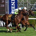 Dolce Zel, horse, Madaket Stable, Lake George Stakes, viernes, 22 de julio de 2022, Saratoga. Foto: Coglaniese Photo & Susie Raisher