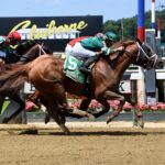 Dynamic One, horse, Repole Stables, Suburban Stakes, sábado, 9 de julio de 2022, Belmont Park. Foto: Coglaniese Photo & Susie Raisher