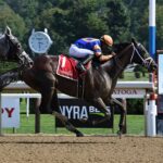 Fearless, horse, Ghostzapper, Birdstone Stakes, jueves, 28 de julio de 2022, Saratoga. Foto: Coglaniese Photo & Susie Raisher