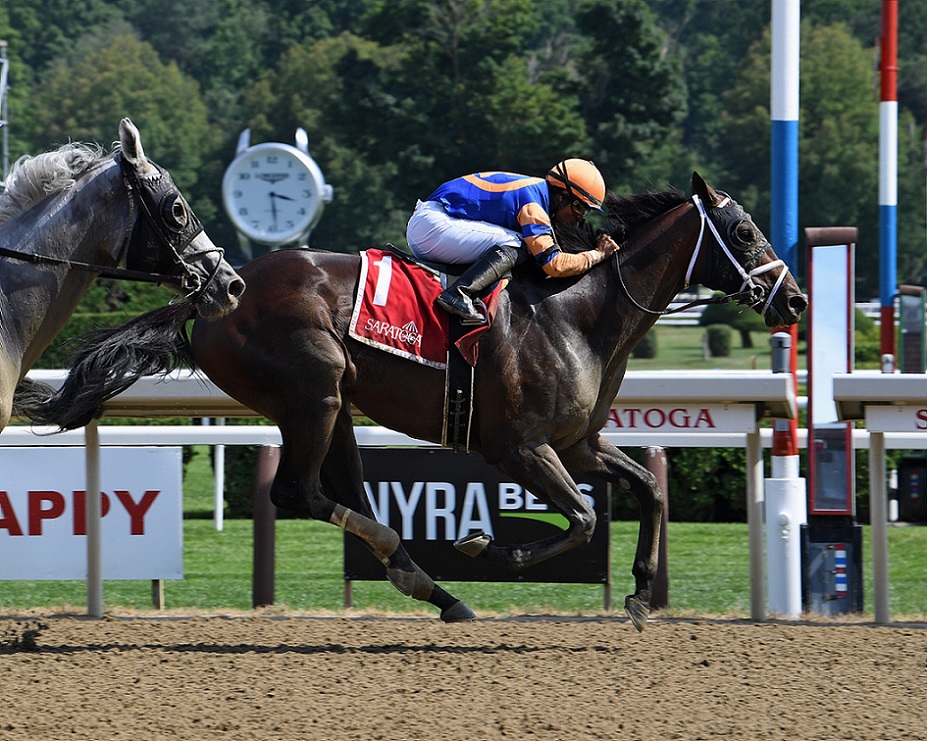 Fearless, horse, Ghostzapper, Birdstone Stakes, jueves, 28 de julio de 2022, Saratoga. Foto: Coglaniese Photo & Susie Raisher