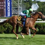 In Italian, horse, Dubawi, Diana Stakes, sábado, 16 de julio de 2022, Saratoga. Foto: Coglaniese Photo & Susie Raisher