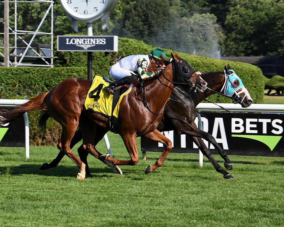 Practice Squad, horse, Jordan V. Wycolf, Rick Violette Stakes, jueves, 21 de julio de 2022, Saratoga. Foto: Coglaniese Photo & Susie Raisher