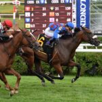 Robin Sparkles, horse, Elusive Quality, Caress Stakes, sábado, 23 de julio de 2022, Saratoga. Foto: Coglaniese Photo & Susie Raisher