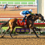Blue Stripe, Horses, Equal Stripes, Clement L. Hirsch Stakes, sábado, 6 de agosto de 2022, Santa Anita Park. Foto: Benoit Photo