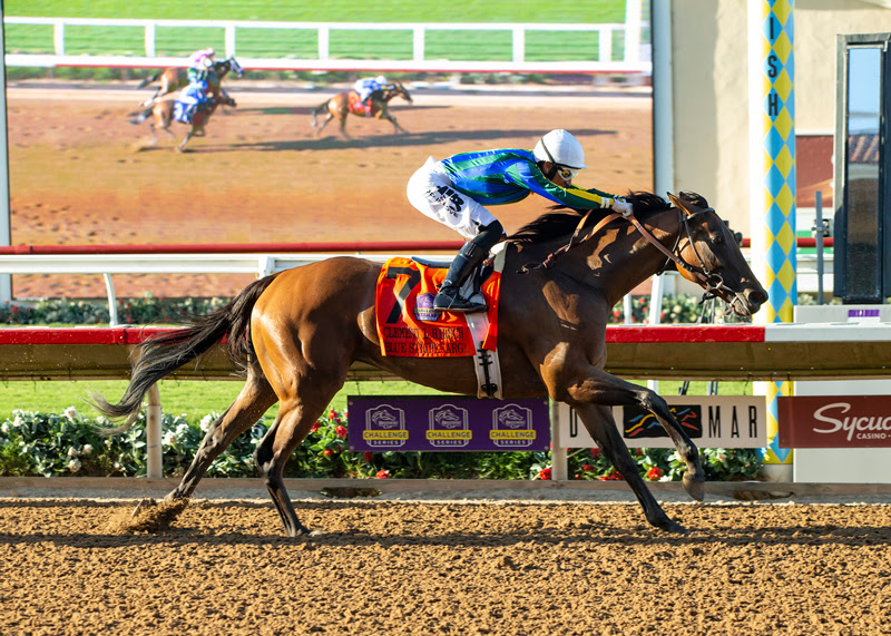 Blue Stripe, Horses, Equal Stripes, Clement L. Hirsch Stakes, sábado, 6 de agosto de 2022, Santa Anita Park. Foto: Benoit Photo