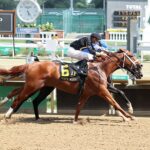 Cyberknife, Horses, Gun Runner, Matt Winn Stakes, sábado, 12 de junio de 2022, Churchill Downs. Foto: Coady Photography