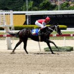 Fast Sensations, horse, Haras Los Caracaros, Clásico Julián Abdala, domingo, 28 de agosto de 2022, La Rinconada. Foto: José Antonio Aray